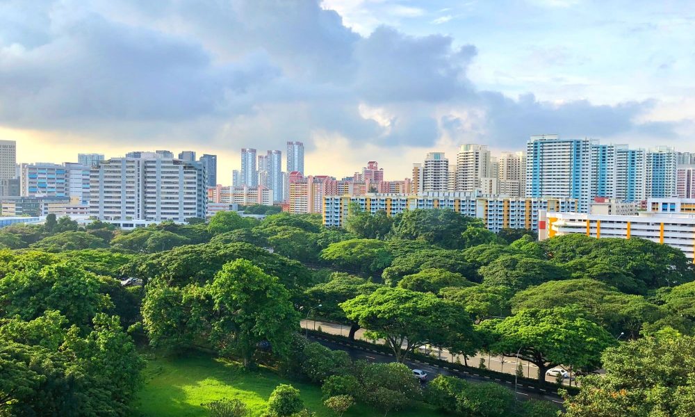 Điều kiện cấp sổ cho đất sử dụng nhiều đời không có giấy tờ